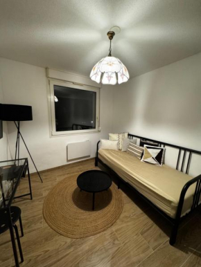 Le Sarsour Appartement Strasbourg Centre